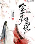 金赤玄说