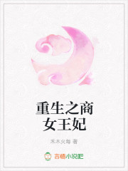 重生之商女王妃