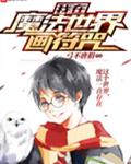 我在魔法世界画符咒