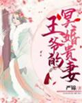 王爷的冥婚贵妻