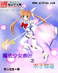 魔法少女奈叶之双子物语