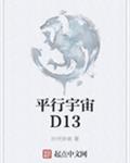平行宇宙D13