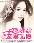 邪少宠妻无度