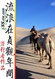 流浪在贞观年间