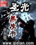 圣光黑皮书