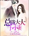 总裁大大小小妻
