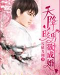 天降暖男欲成婚