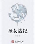 圣女战纪