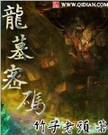 龙墓密码