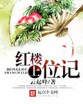红楼上位记