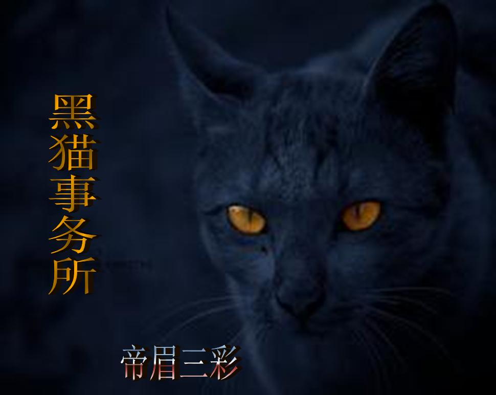 黑猫事务所