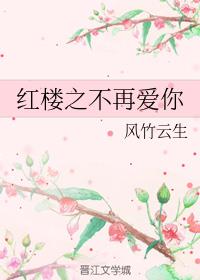 红楼之不再爱你