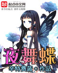 夜舞蝶