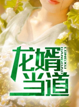 龙婿当道