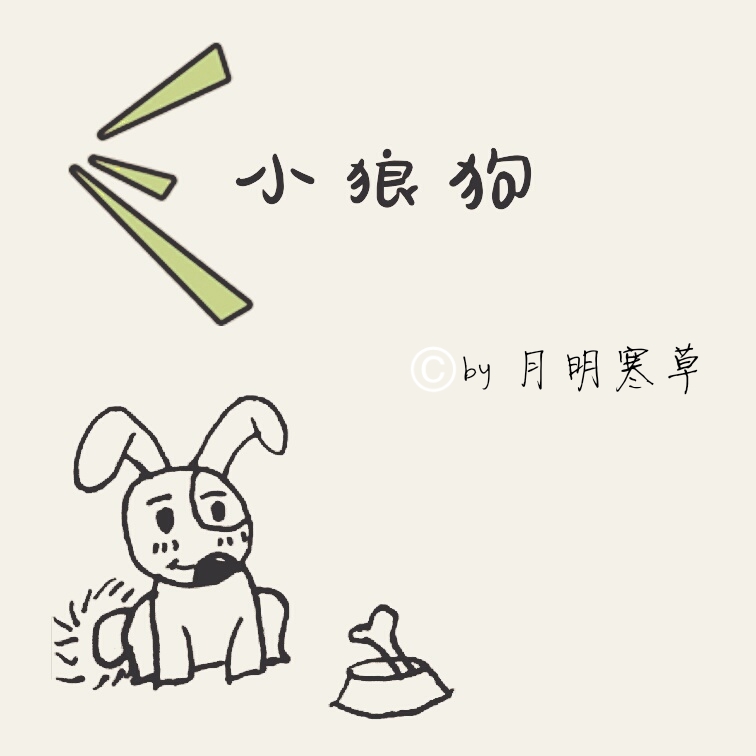 小狼狗