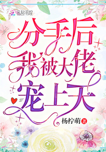 分手后我被大佬宠上天
