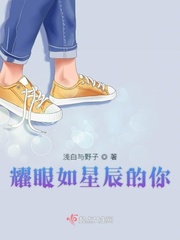 耀眼如星辰的你