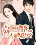 小透明偶像和大牌粉丝