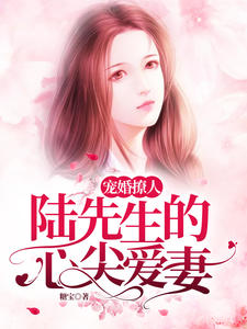 宠婚撩人，陆先生的心尖爱妻乔莫笙陆慕沉