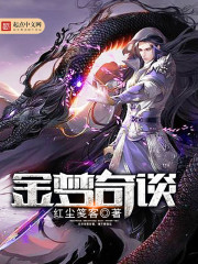 金梦奇谈