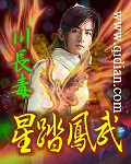 星踏凤武