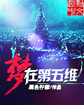 梦在第五维
