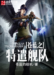 苍蓝之特遣舰队