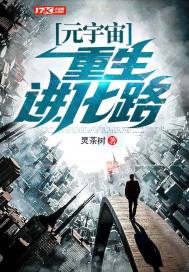 元宇宙:重生进化路