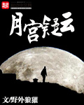 月宫疑云