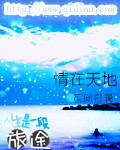 情在天地