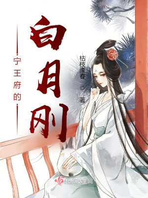 宁王府的白月刚