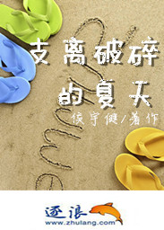 支离破碎的夏天