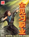 全见习职业