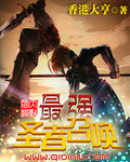 最强圣者召唤