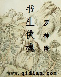 书生侠魂