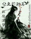 公主的驸马