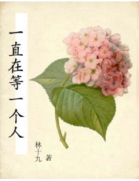 一直在等一个人