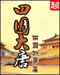 田园大唐
