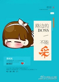 路边的BOSS不能采