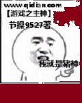 奈叶同人之剑神诺亚