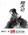 翔天记