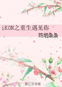 iKON之重生遇见你