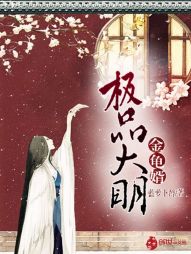 极品大明金龟婿