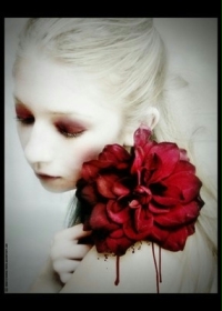 夜妻归来之恋上我的吸血姬