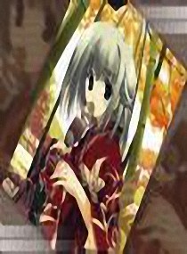 网王之淡淡葡萄味