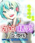 宠物小精灵之夜辉