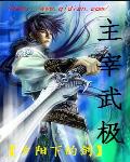 主宰武极