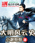 大明风云史