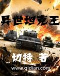 异世坦克王