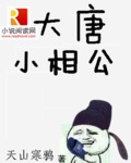 大唐小相公